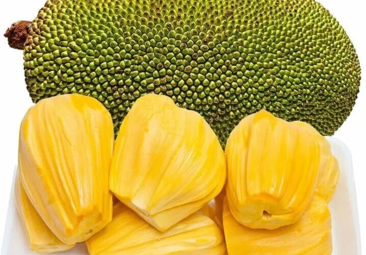 Buah Terbesar di Dunia dan Fakta Ilmiahnya yang Jarang Diketahui